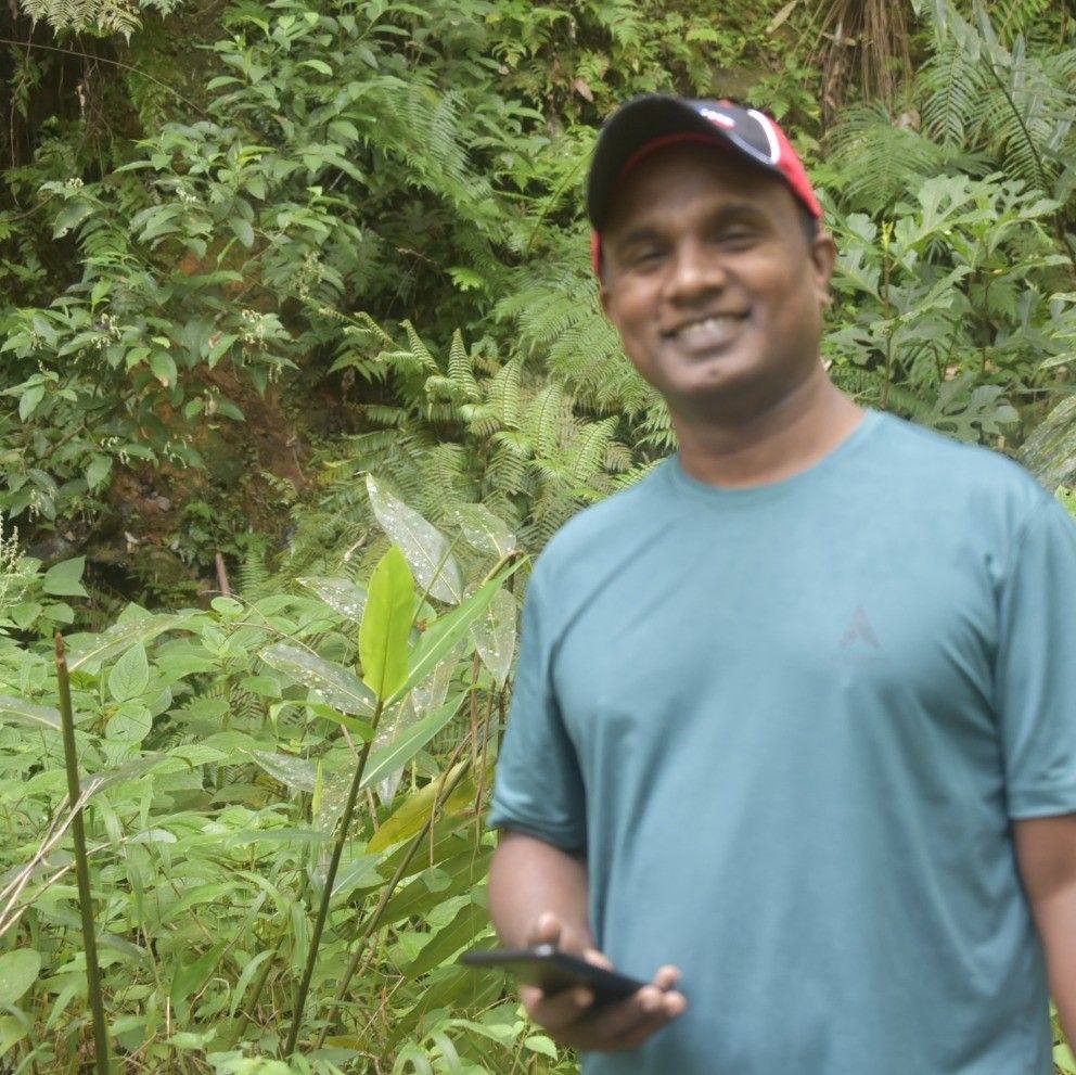 තුසිත පතිරණ