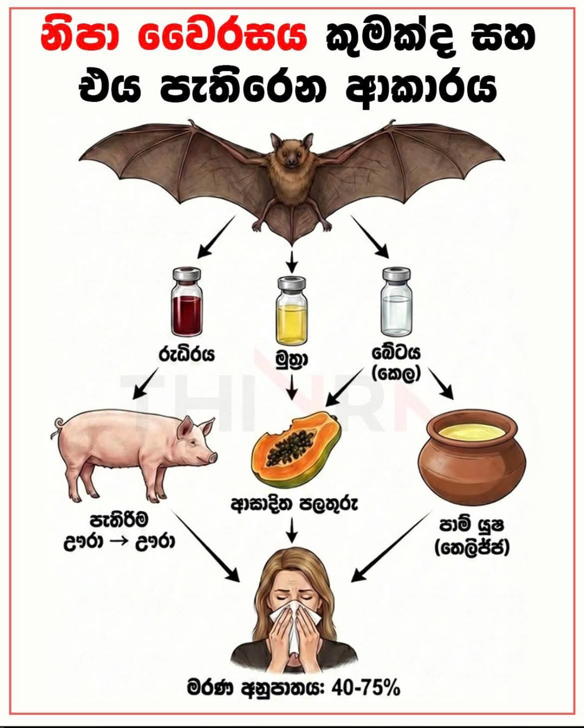 නීපා වෛරසය
