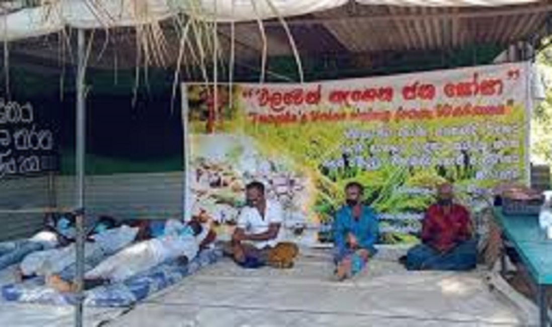 වල්සපුගල ගොවි අරගලය දිය කර හැරීමට : ආණ්ඩුවේ උත්සාහයක් !