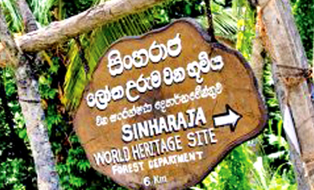 චමල්ගේ වැව් 2ක : සිංහරාජය යුනෙස්කෝ ලෝක උරුමයෙන් ඉවතට!