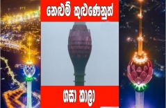 නෙළුම් කුළුණෙනුත් ගසා කාලලු.......